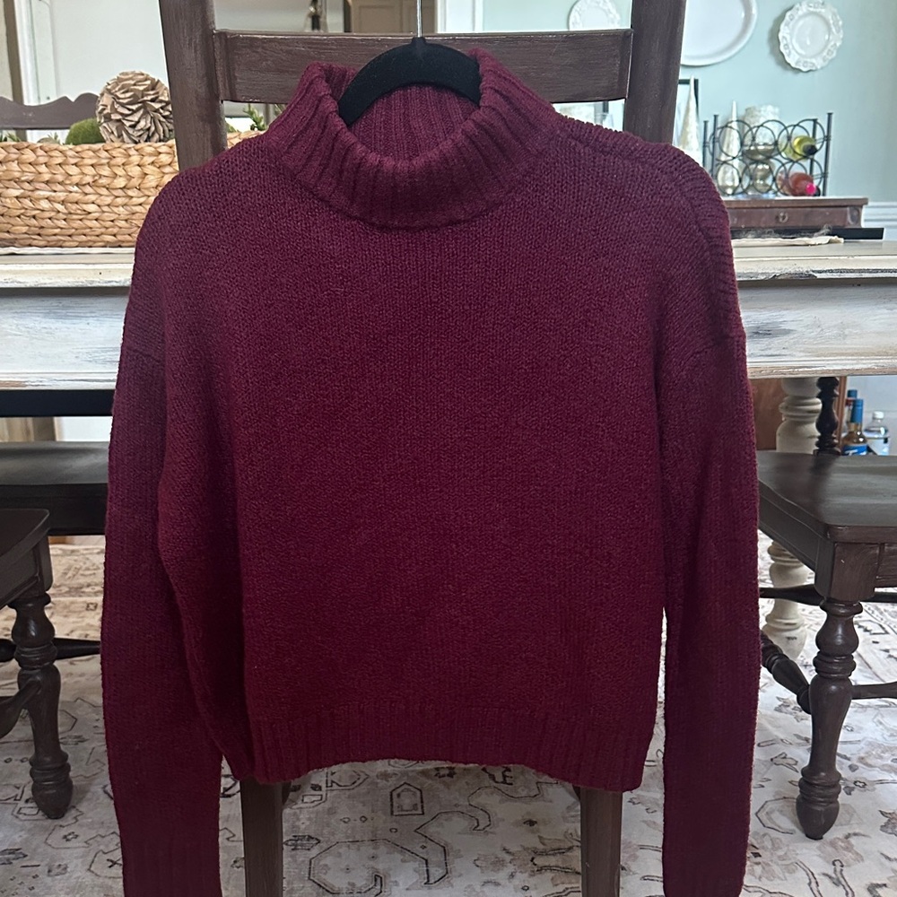 American Eagle Outfitters Maroon Turtleneck Sweater
